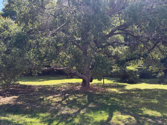 Condo for sale in Saint Stephen, South Carolina