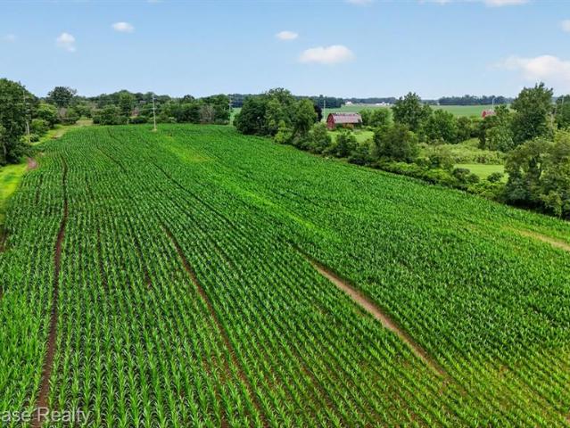 Land for sale in Conway, Michigan