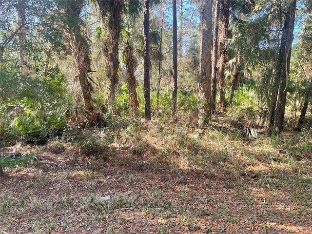 Land for sale in Crystal River, Florida