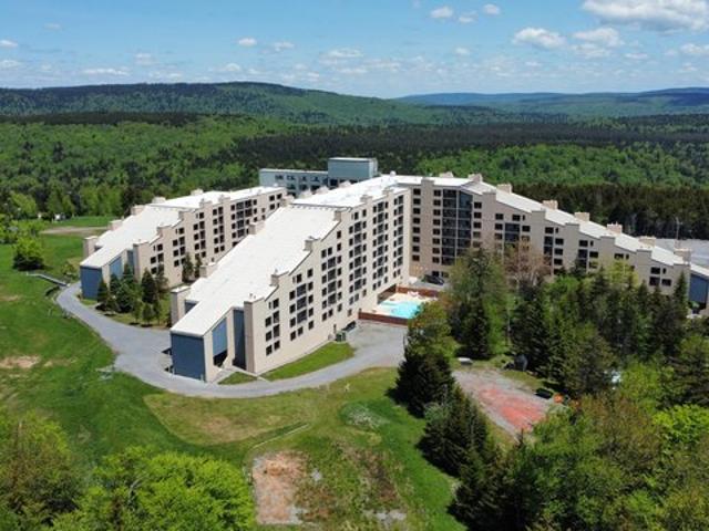 Condo for sale in Snowshoe, West Virginia