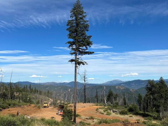 Land for sale in Weaverville, California