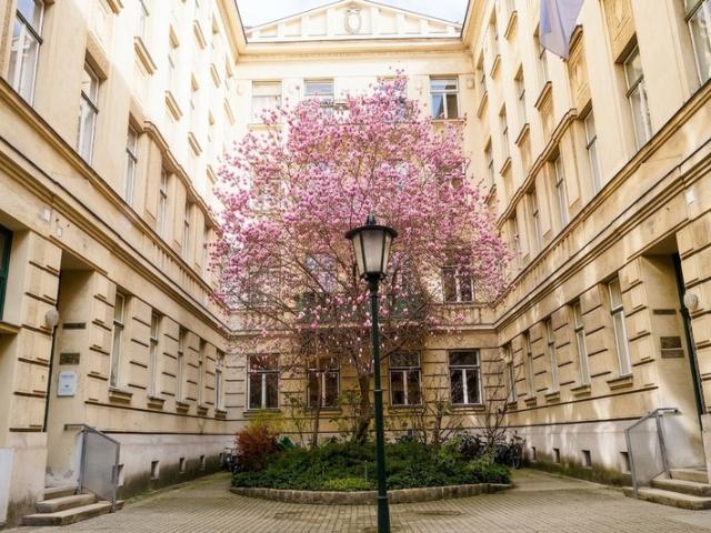 Apartment mieten in Meidling, Wien