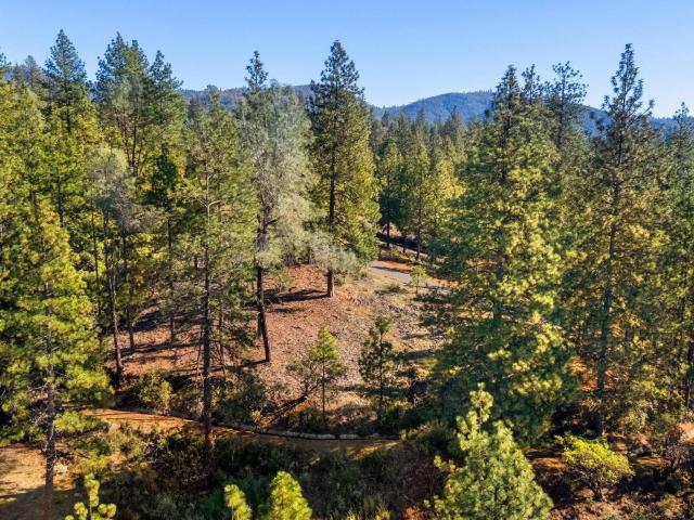 Land for sale in Columbia, California