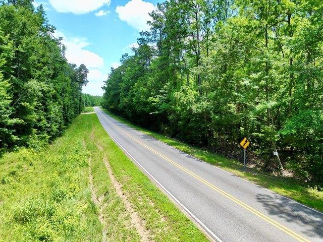 Land for sale in Greenville, Alabama