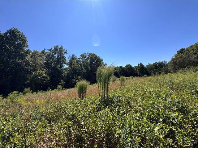 Property for sale in Elkin, North Carolina