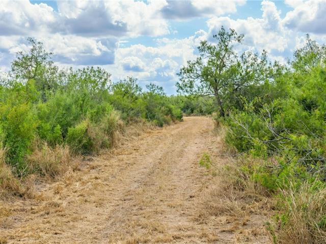 Land for sale in Ben Bolt, Texas