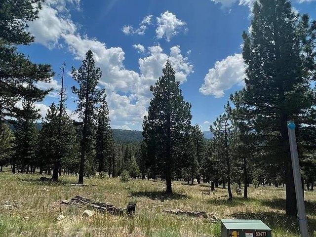 Land for sale in Portola, California