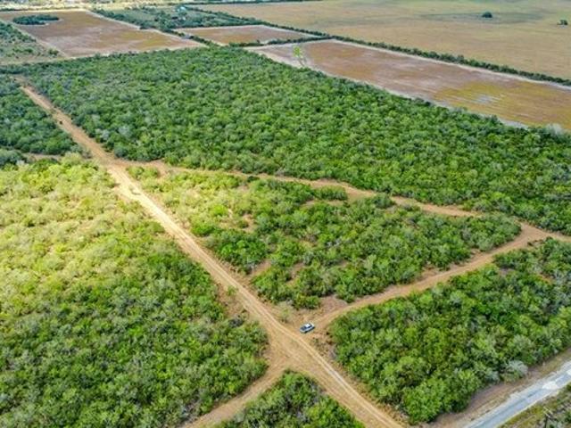Farm for sale in Alice, Texas