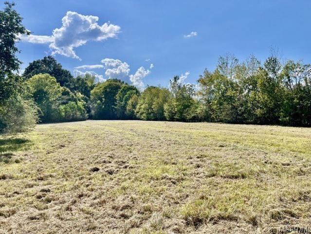 Land for sale in Elmore, Alabama