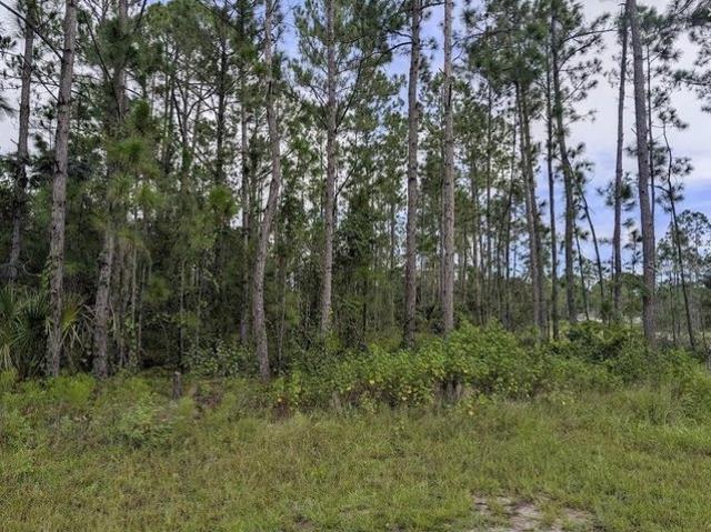 Land for sale in Indian Lake Estates, Florida