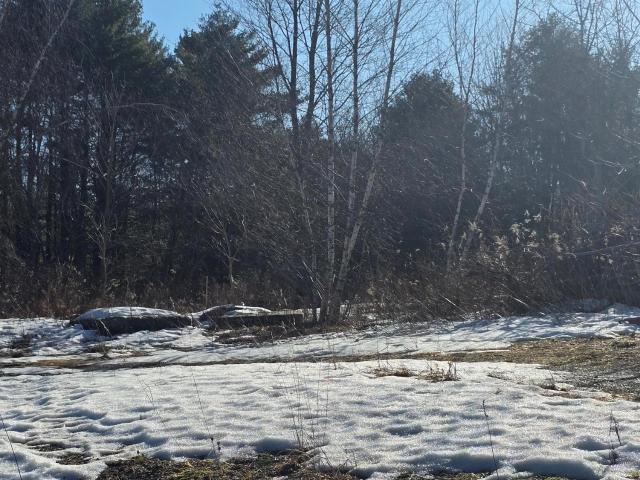 Land for sale in Fallsburg, New York
