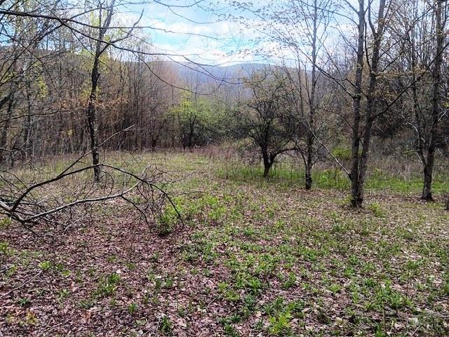 Land for sale in Worcester, New York