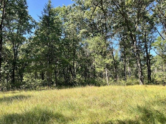 Land for sale in Arkdale, Wisconsin