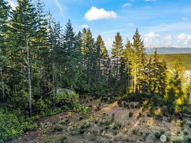 Land for sale in Union, Mason County