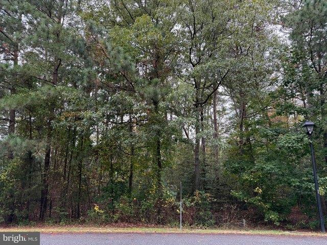 Land for sale in Issue, Maryland