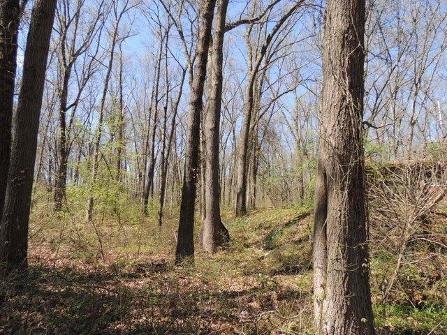 Land for sale in Fennville, Michigan