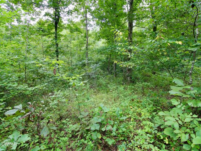 Land for sale in Tennessee