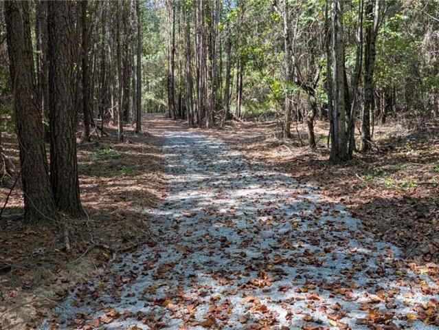 Land for sale in Ball Ground, Cherokee County