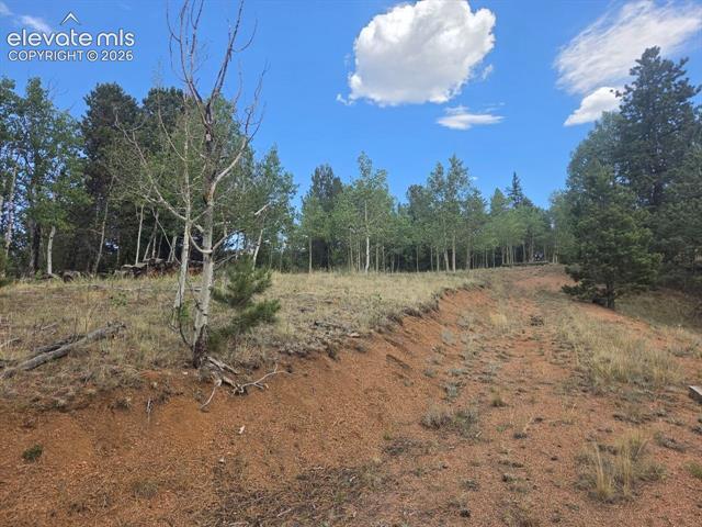 Land for sale in Teller, Colorado