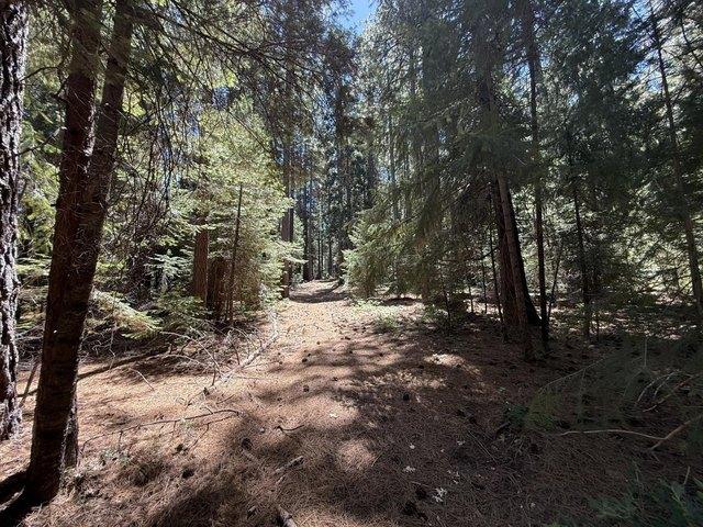 Land for sale in Nevada City, California