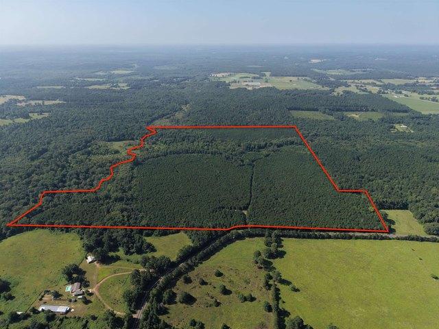 Land for sale in Morris, Texas