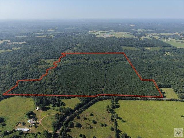 Land for sale in Morris, Texas