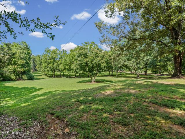 House for sale in Nesbit, Mississippi