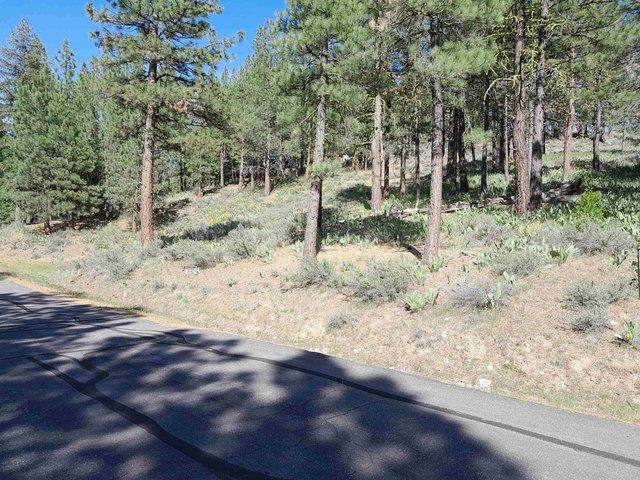 Land for sale in Portola, California