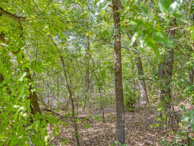 Land for sale in Johnson, Texas