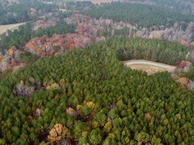 Land for sale in Tignall, Georgia