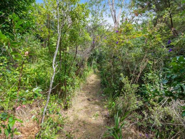 House for sale in Whangaparaoa