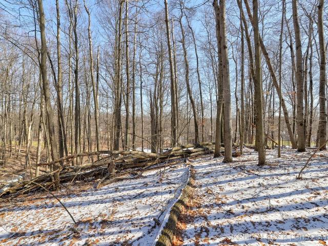Land for sale in Michigan