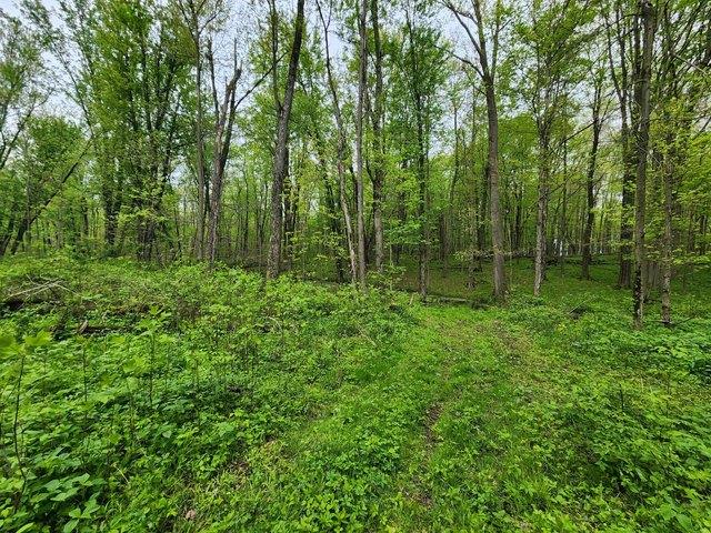 Land for sale in Constantine, Michigan