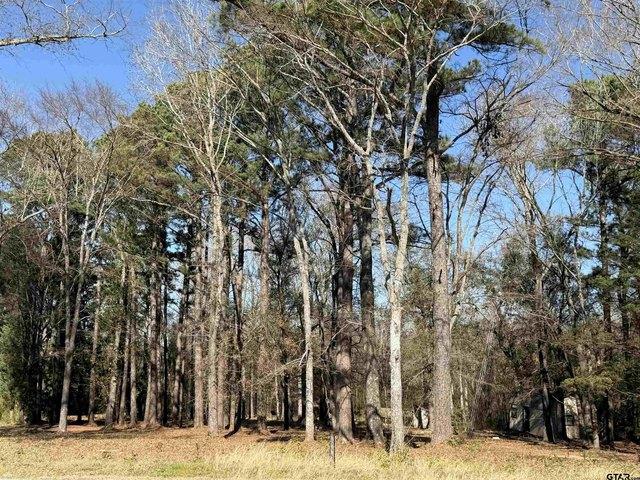 Townhouse for rent in Bullard, Smith County