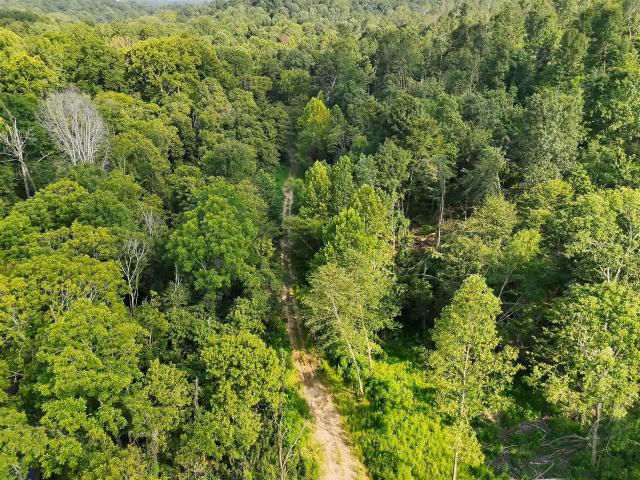 Land for sale in Princeton, Kentucky