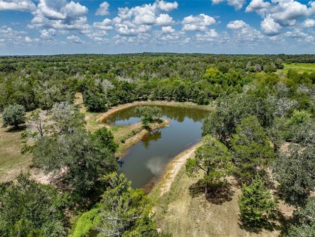 Land for sale in New Ulm, Austin County