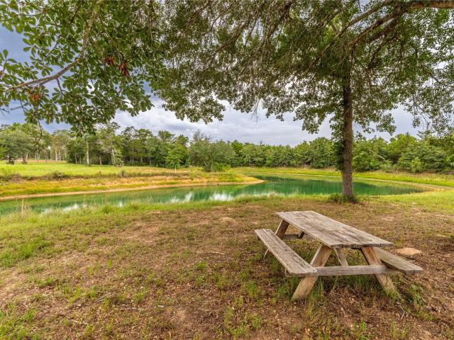Land for sale in New Ulm, Texas