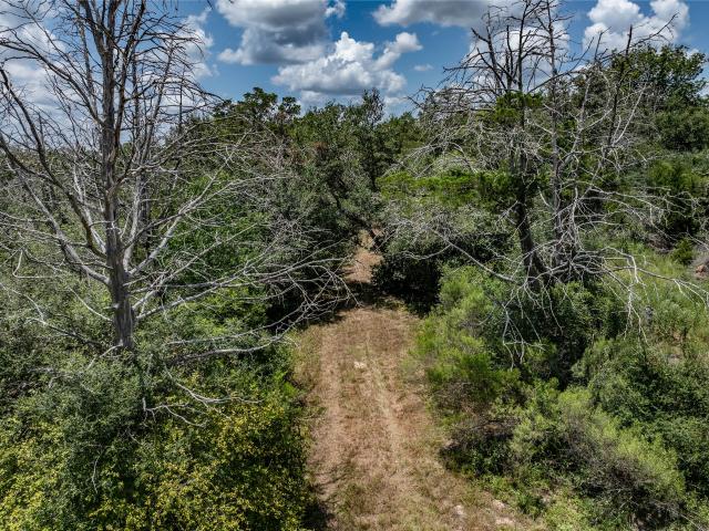 Land for sale in New Ulm, Colorado County