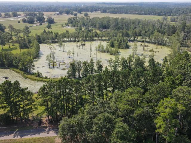 Land for sale in Webb, Alabama