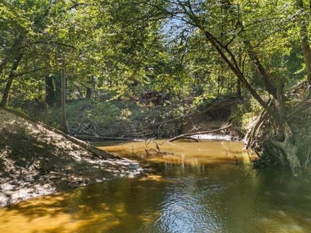 Land for sale in Newton, Texas