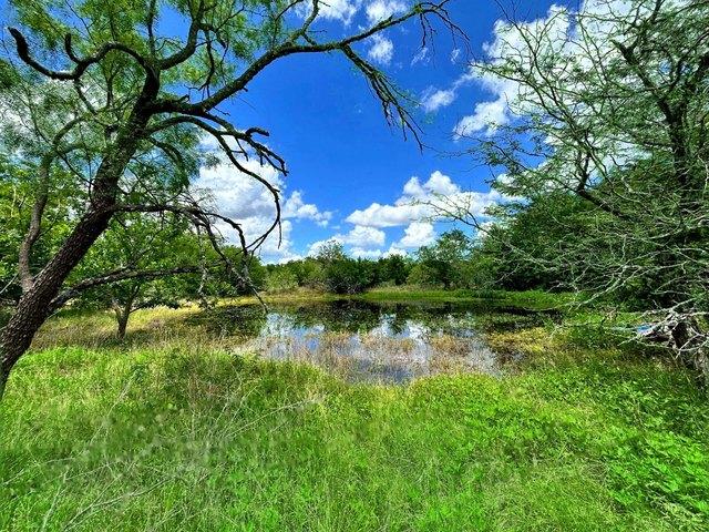 Land for sale in Limestone, Texas