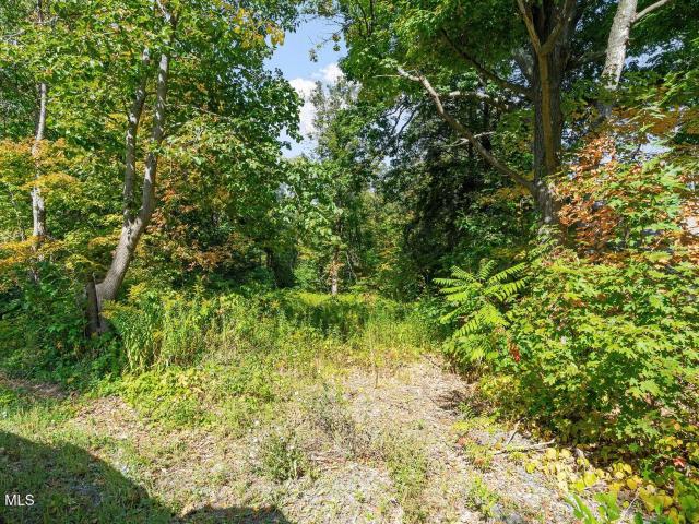 Land for sale in Guilderland, New York