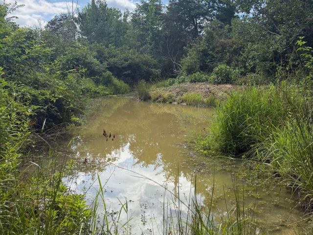 Land for sale in Virginia