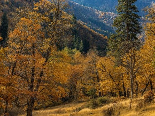Land for sale in Yreka, California