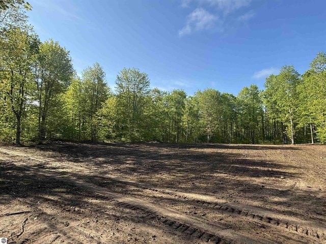 Land for sale in Maple City, Michigan