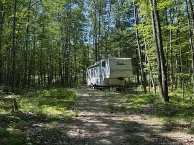 Land for sale in Lincoln, Michigan