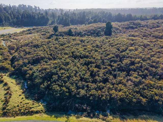 Property for sale in Hokitika, West Coast