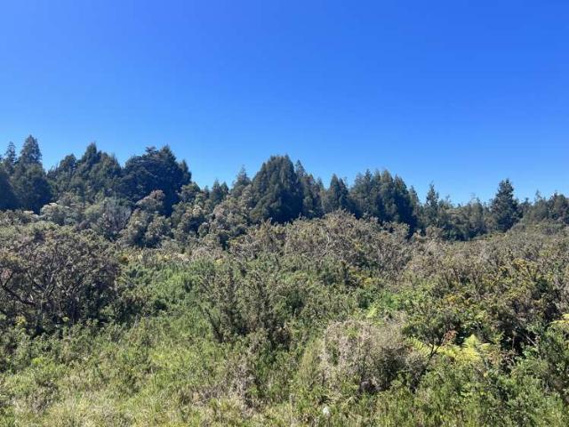 Property for sale in Ruatapu, West Coast