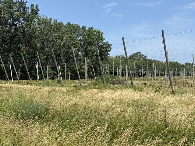 Land for sale in Baroda, Michigan