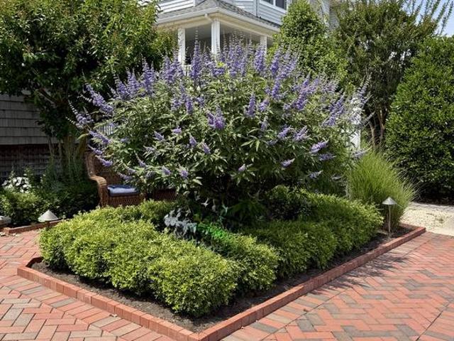 House for sale in Beach Haven, Ocean County